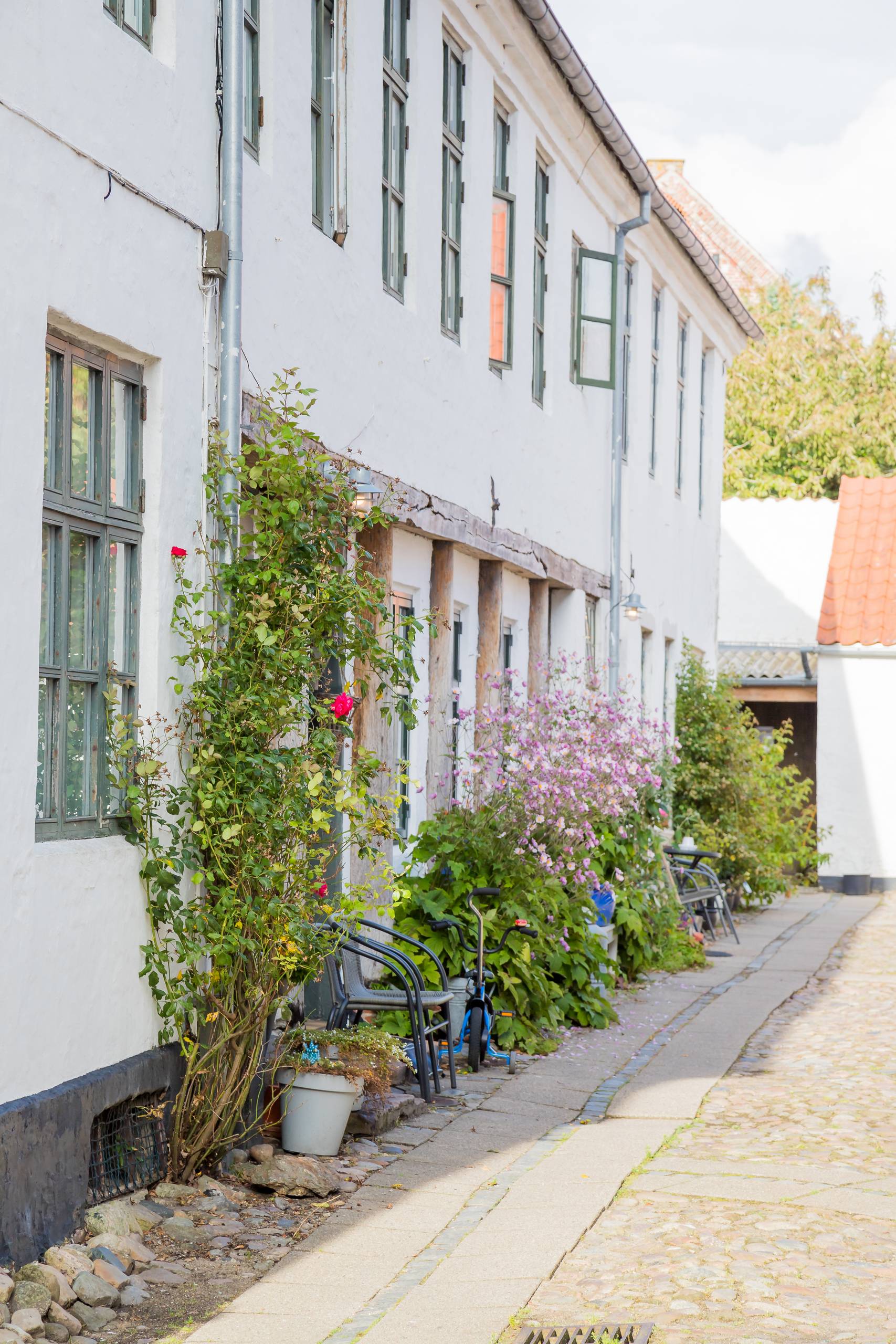 2024 Dänemark   160